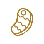 icon1 icon1
