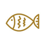 icon3 icon3